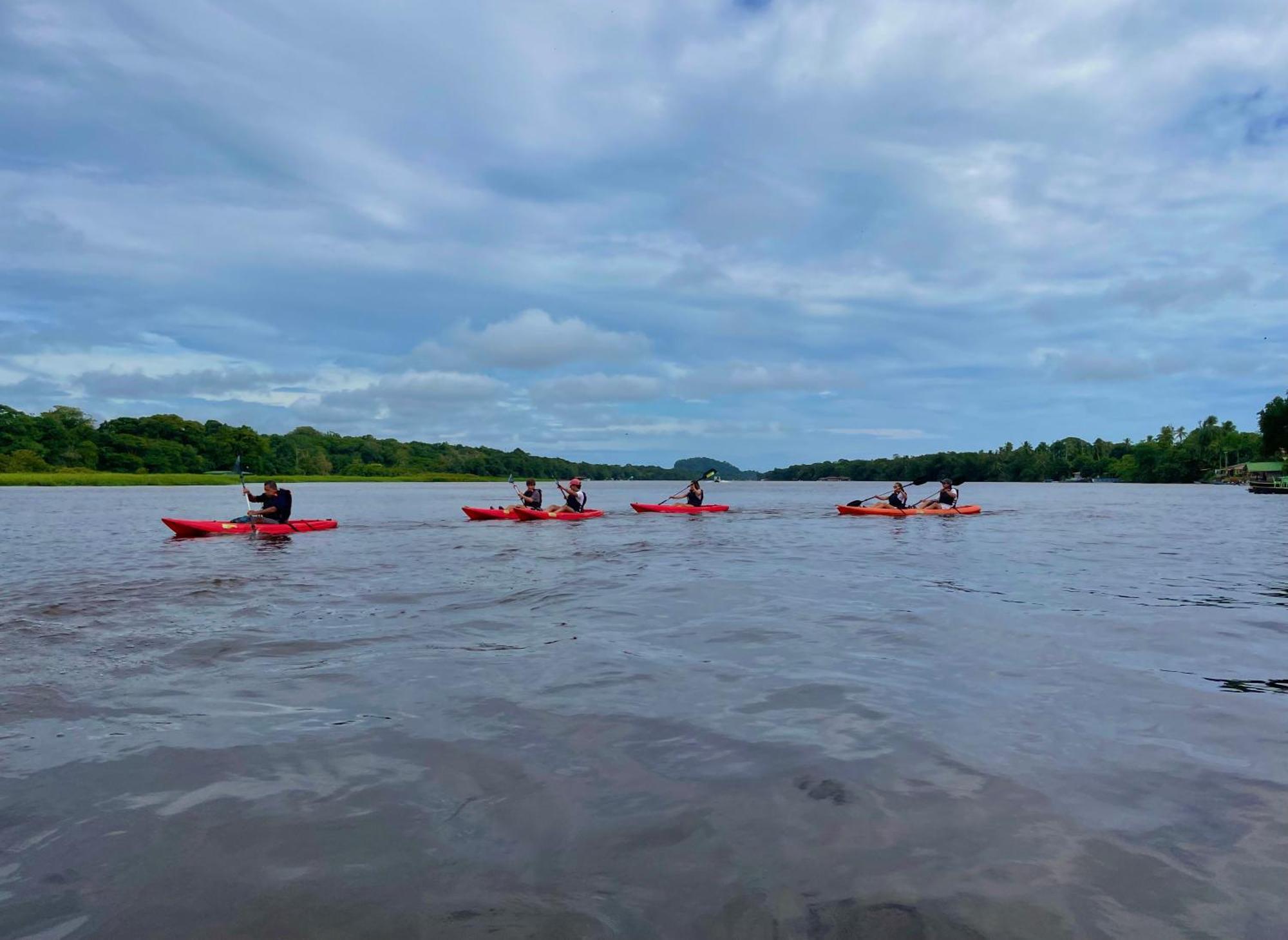 Carey Lodging Tortuguero Bagian luar foto