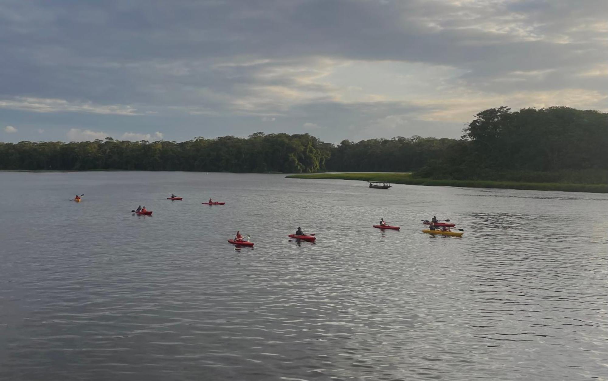 Carey Lodging Tortuguero Bagian luar foto