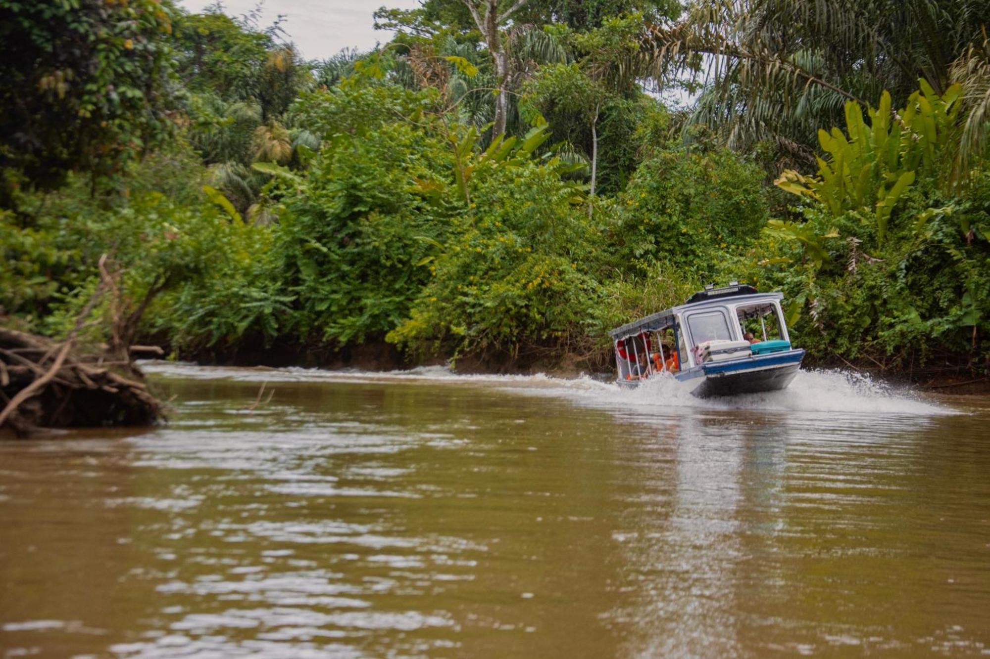 Carey Lodging Tortuguero Bagian luar foto