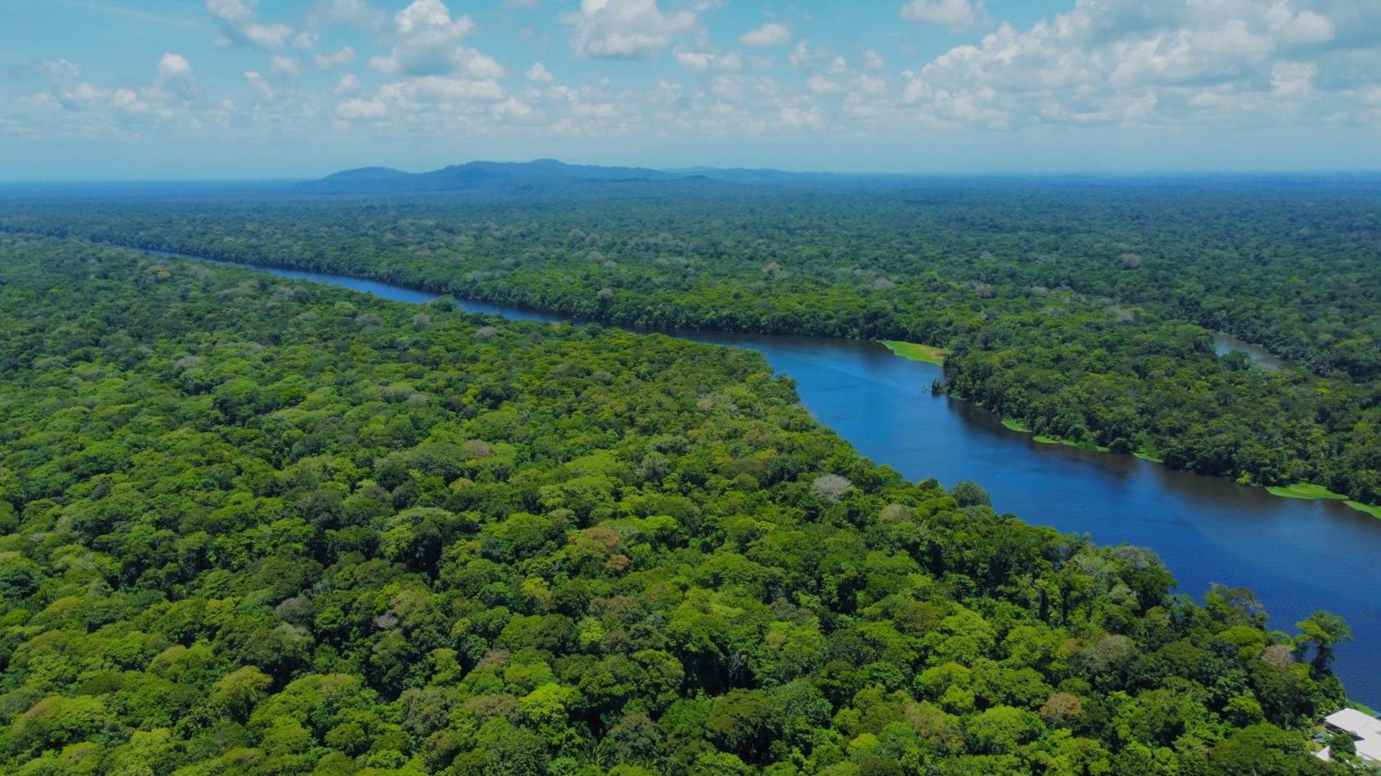 Carey Lodging Tortuguero Bagian luar foto
