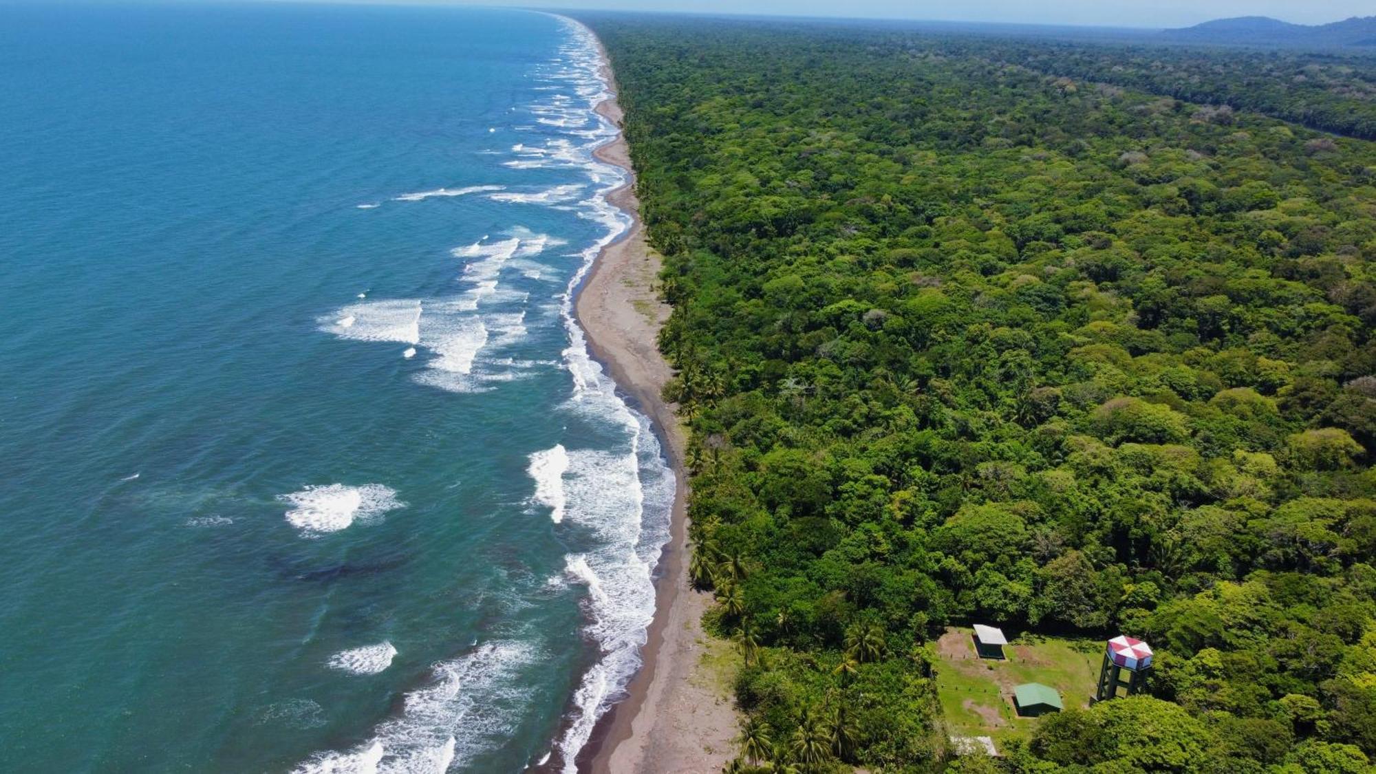 Carey Lodging Tortuguero Bagian luar foto