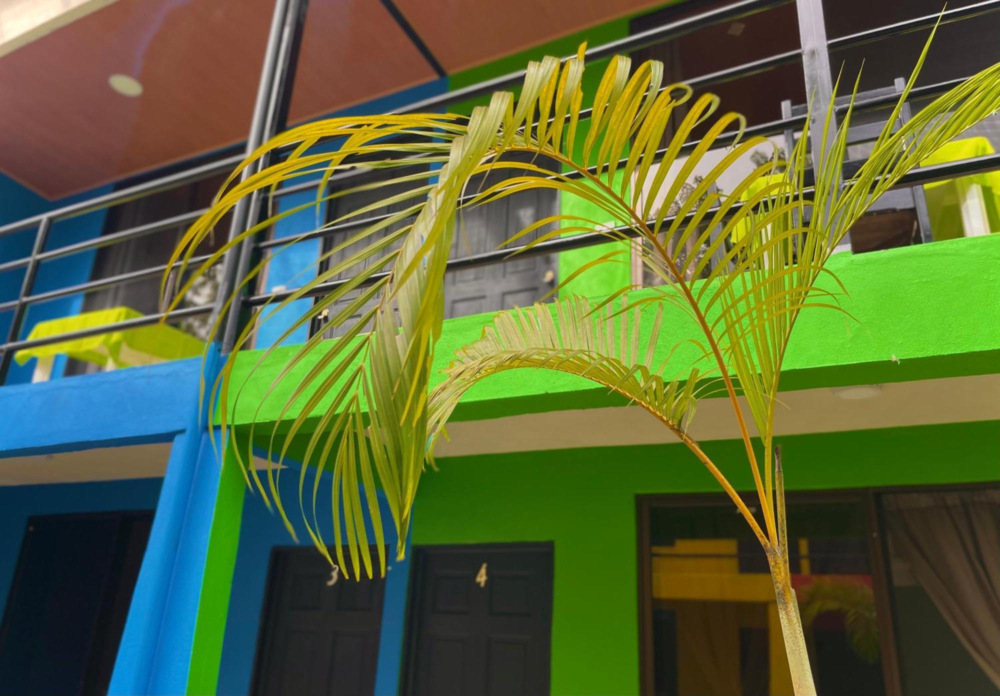 Carey Lodging Tortuguero Bagian luar foto