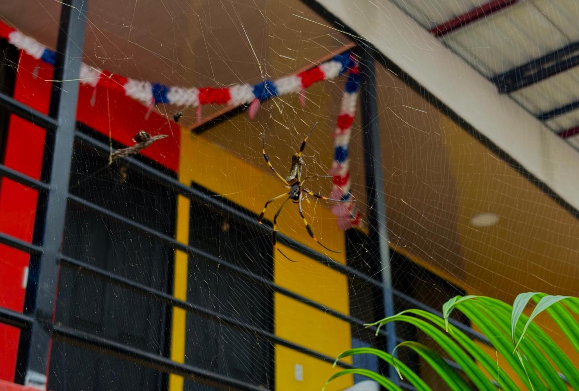 Carey Lodging Tortuguero Bagian luar foto
